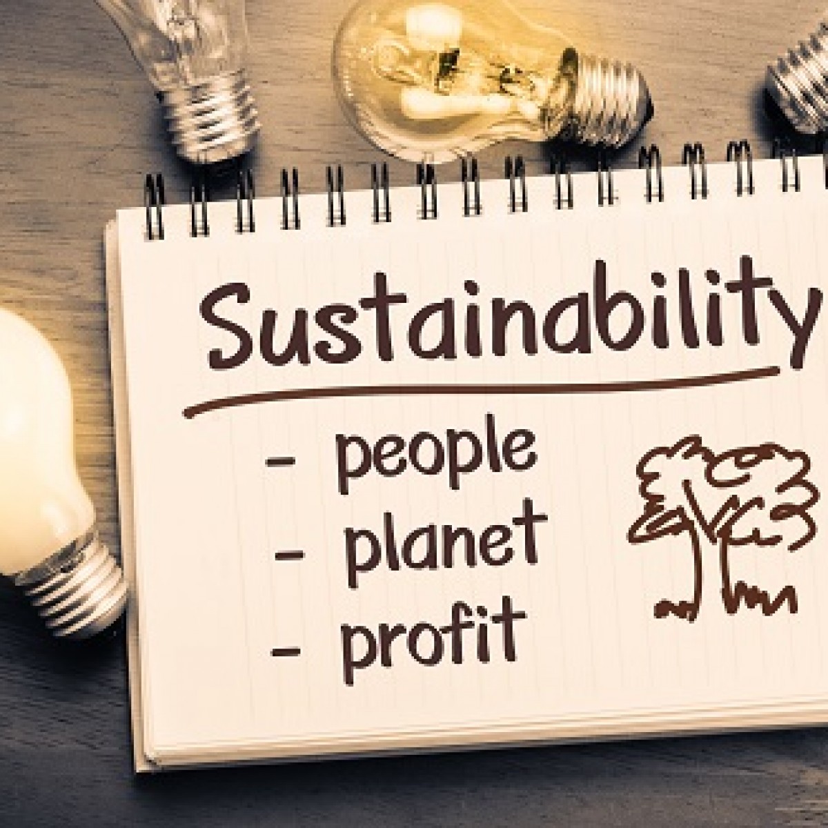 Newsletter 04/2012: Benchmarking sustainability certification systems ...