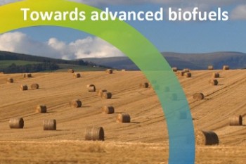 Options for the evolution of first generation biofuel production sites